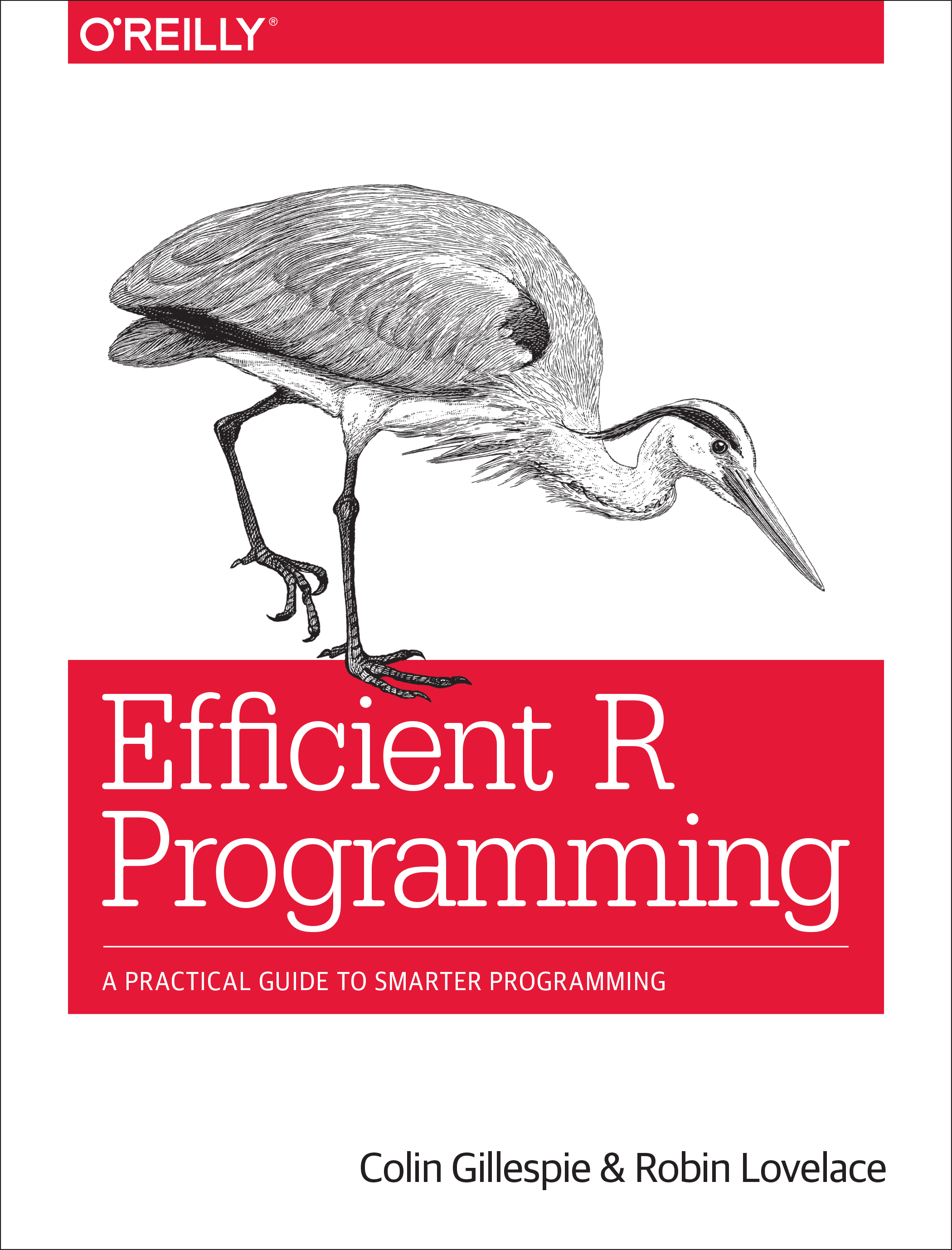 Efficient R programming